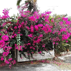 chez-regine.comcaribbean.com/
