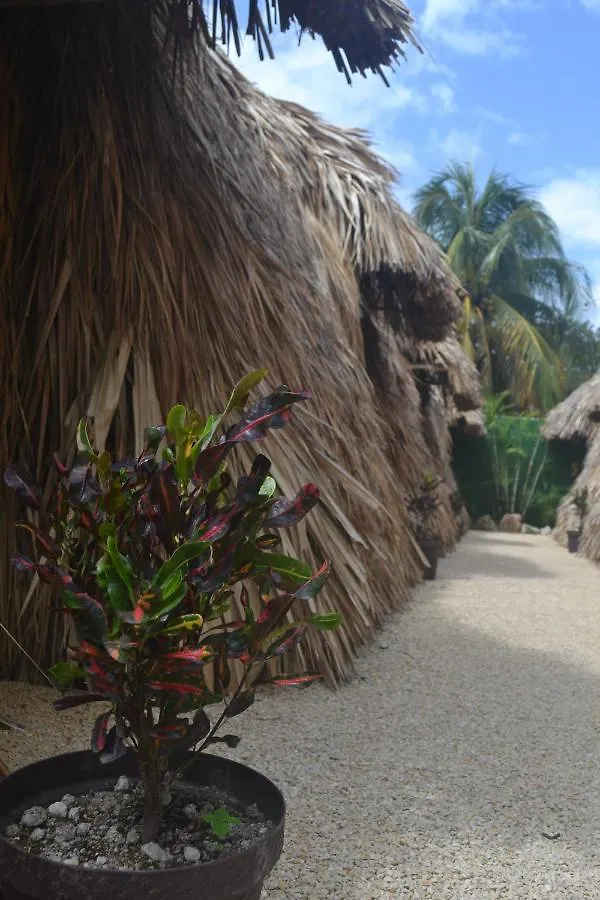 Hakuna Matata Glamping Bacalar Campsite