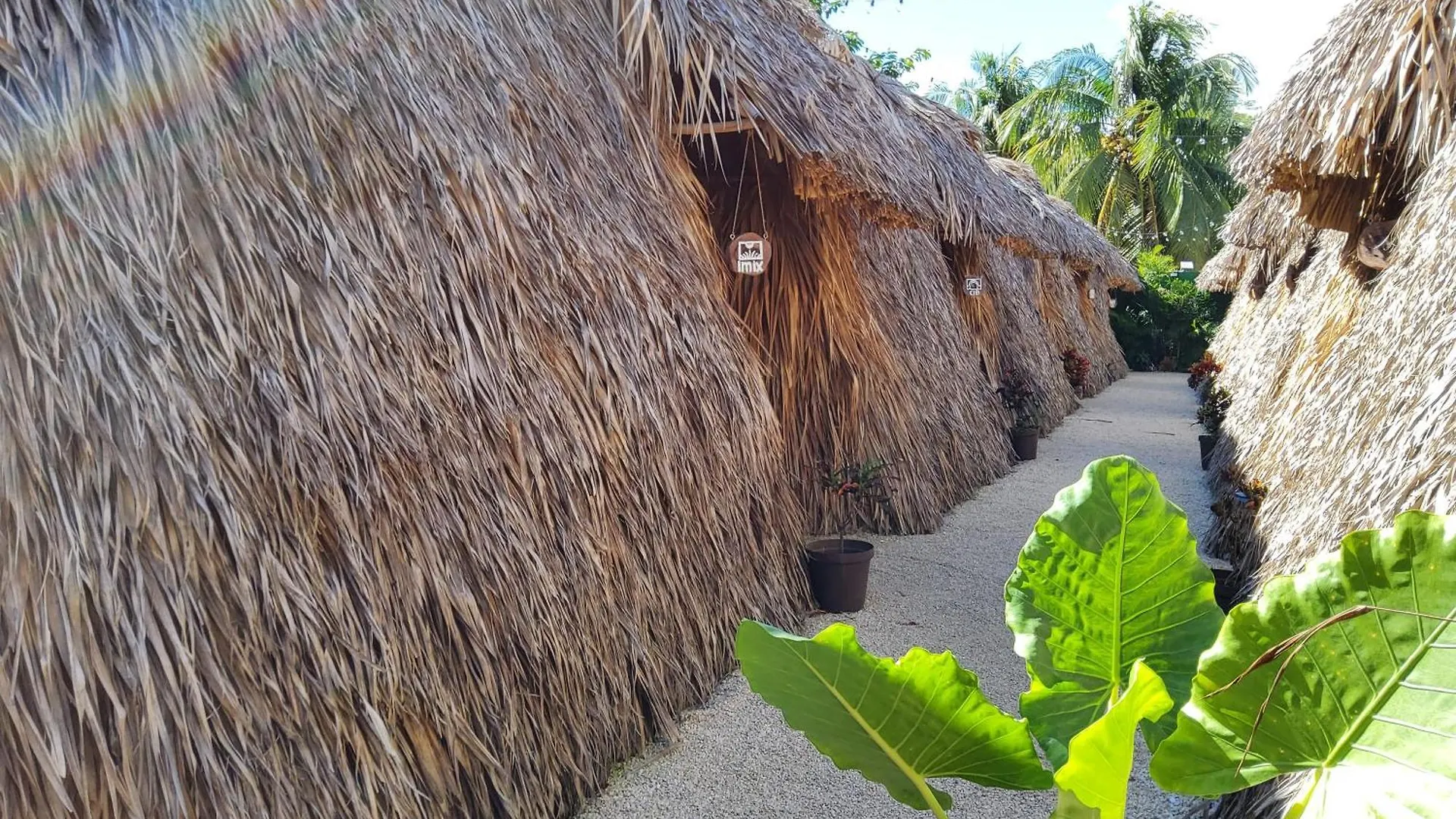 Hakuna Matata Glamping Bacalar Campsite